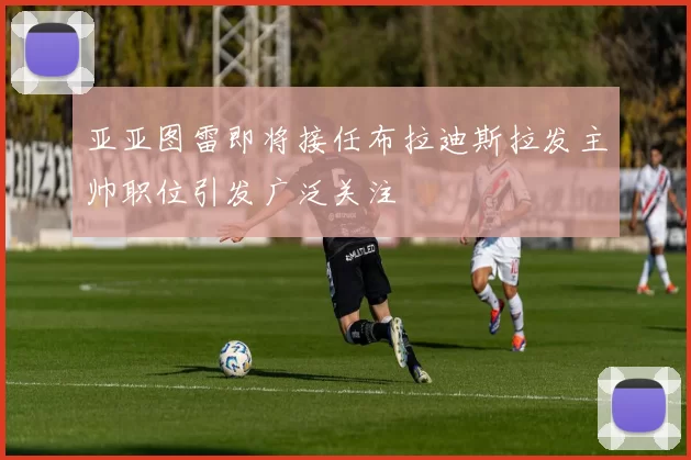 亚亚图雷即将接任布拉迪斯拉发主帅职位引发广泛关注